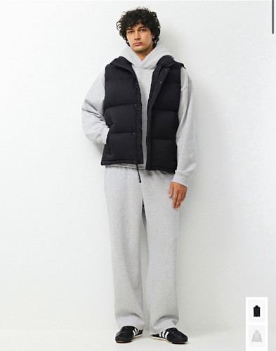 Aritzia the super puff - the,